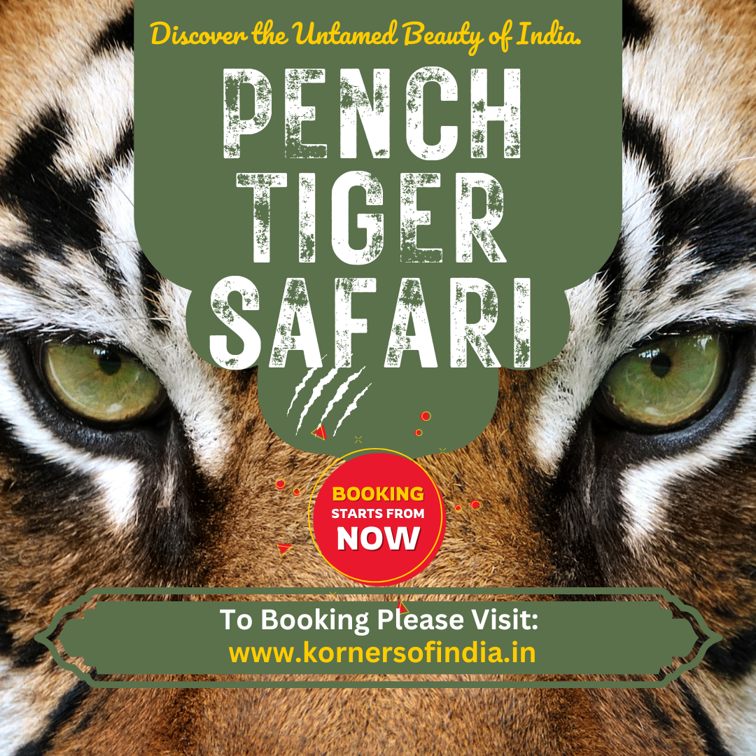 Pench Tiger Safari